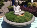 buddha (462x360)