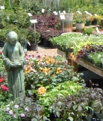 dscf0006