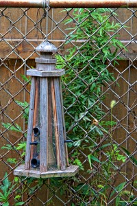 Bird Feeder