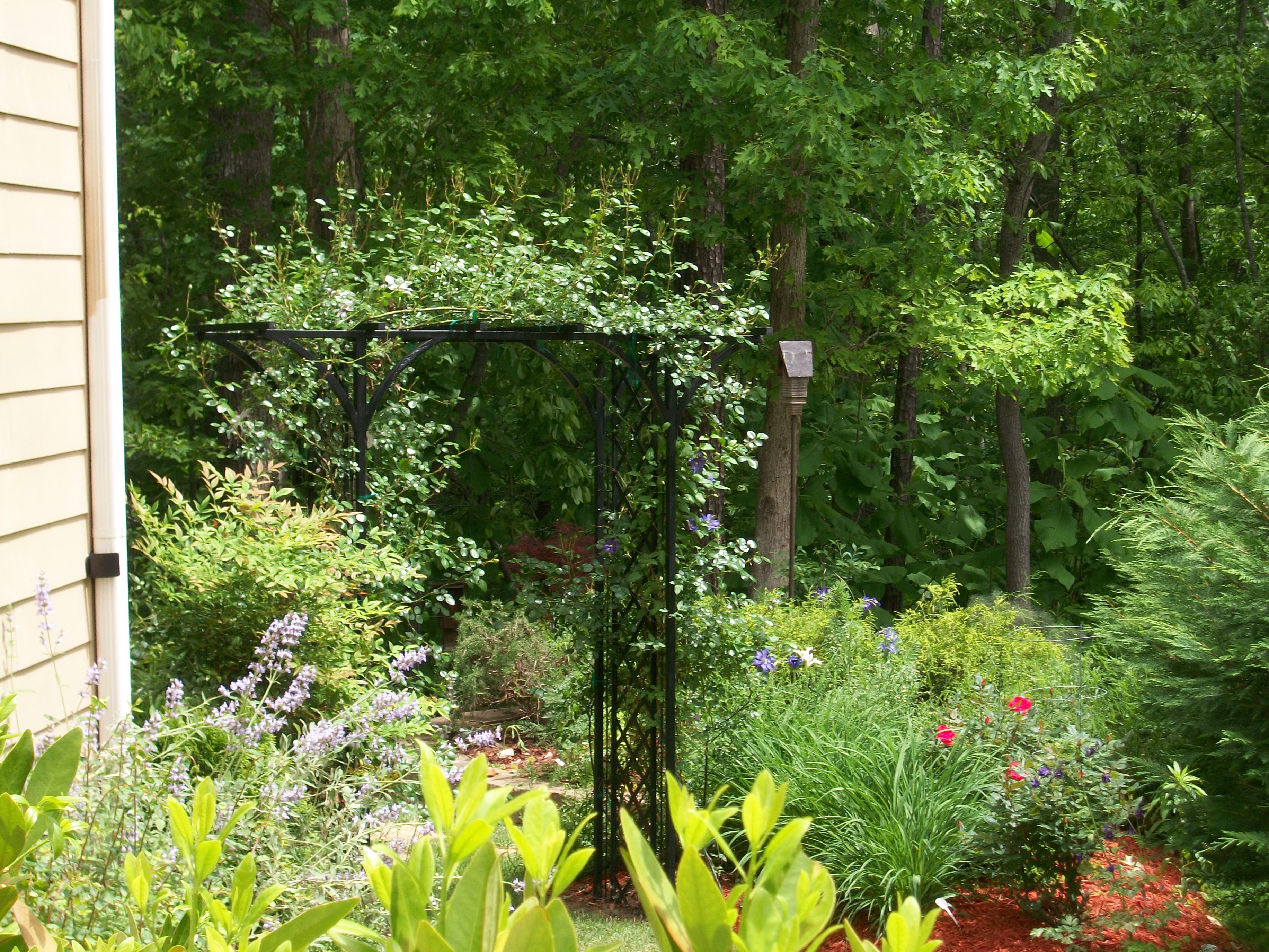 Landscape Design in Canton, GA