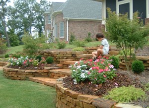 Creating a Step by Step Landscape Deisign