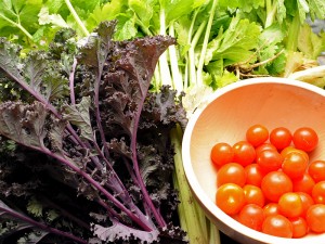 Vegetable Garden
