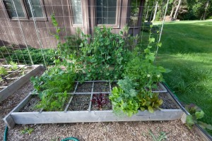 Square Foot Gardening