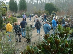 Come One, Come All to Our Orphan Plant Sale! orphan plant sale