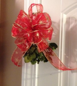 christmas decor - mistletoe