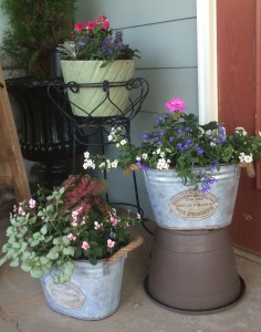 Autumn Hill container garden