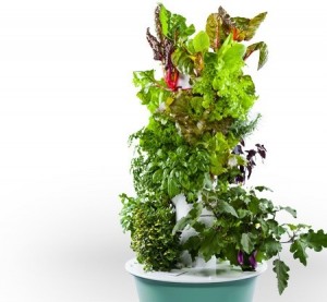 tower garden