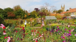 Show Your True Colors! garden with personality