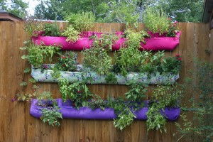 hanging vegetable garden