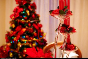Christmas tree and decorations