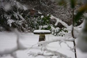 bird bath covered in snow