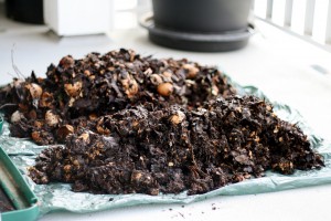 kitchen compost