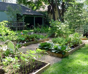 raised garden bed