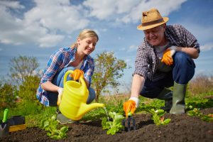 gardening couple