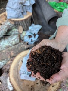 Kitchen Scraps and More!