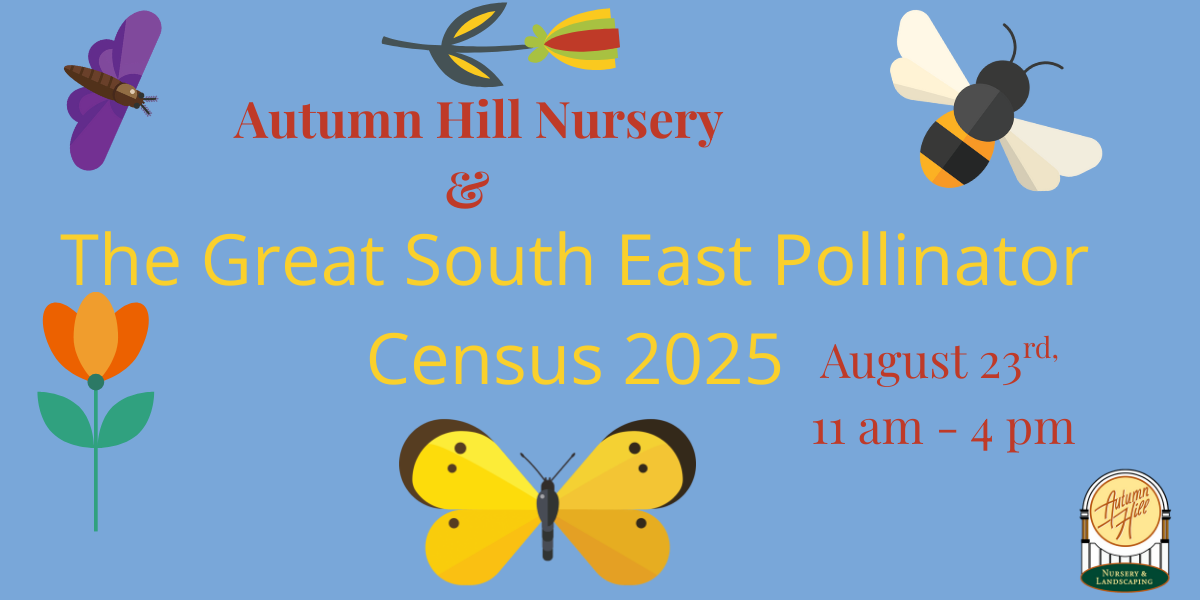 Pollinator Census Day