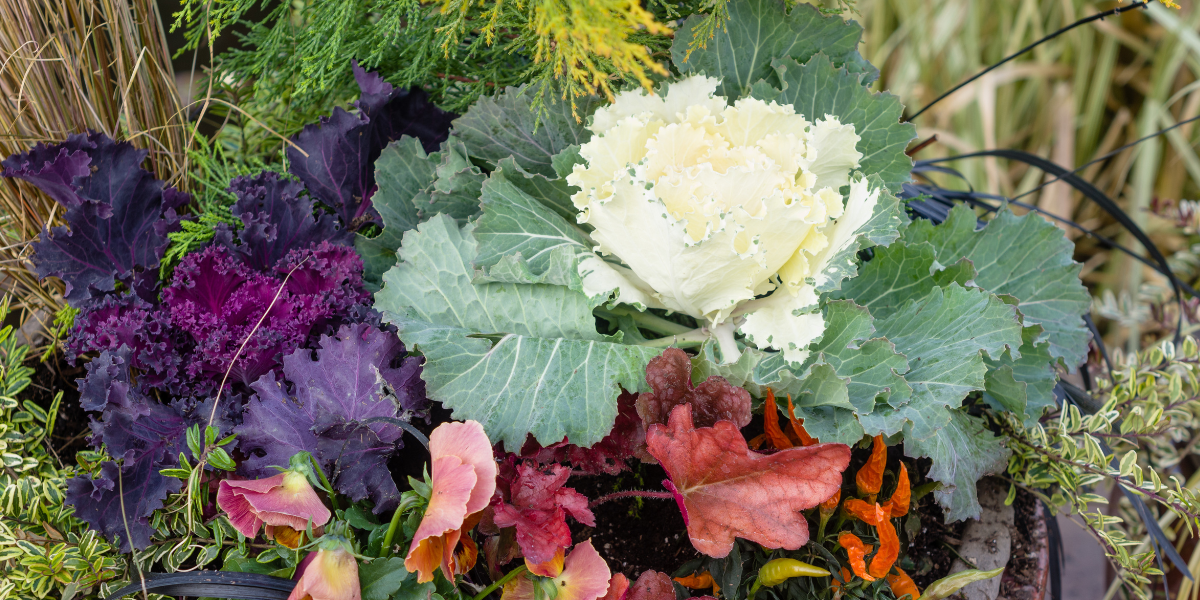 Autumn Container Class Autumn Container Class