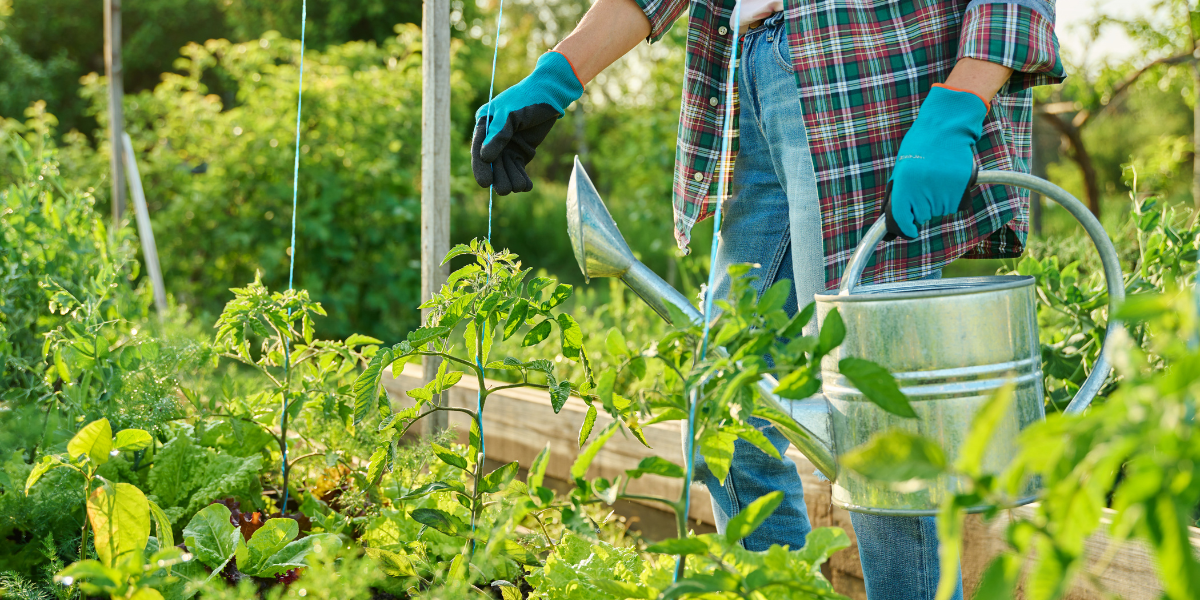 Raised Bed Class Raised Bed Class