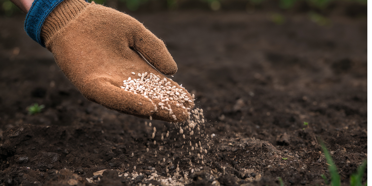 No Fear Gardening No Fear Gardening