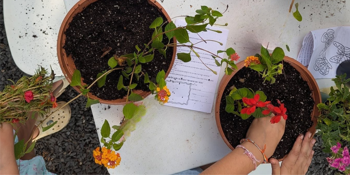 Garden for Life Kids Club: Spring Container Garden Garden for Life Kids Club: Spring Container Garden