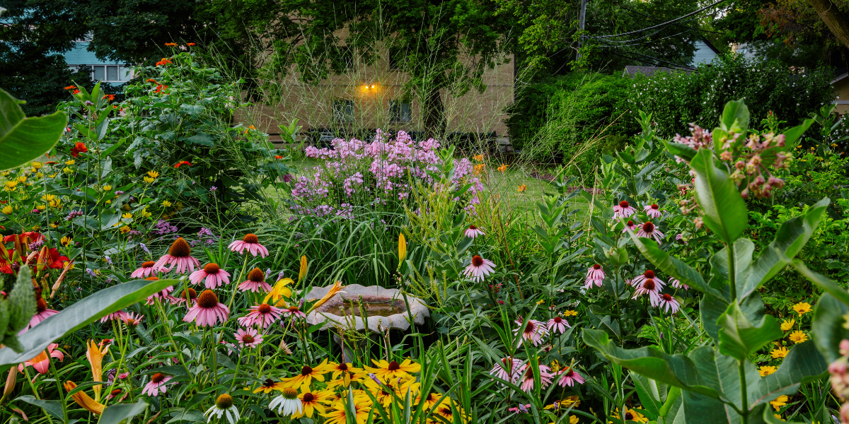 How to Design and Install a Perennial Bed: Do-It-Together Class How to Design and Install a Perennial Bed: Do-It-Together Class
